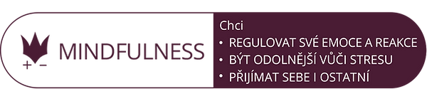5.mindfulness.png